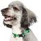 Show in main carousel: Frisco Rugged Reflective Rope Dog Collar, Green, 18 to 20-in neck, 3/4-in wide slide 3 of 11