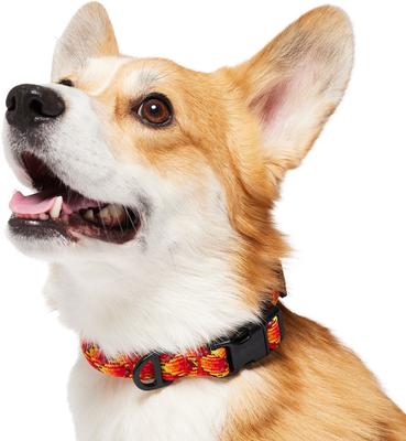 Show full view: Frisco Rugged Reflective Rope Dog Collar, Red, 14 to 16-in neck, 3/4-in wide slide 3 of 11
