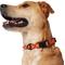 Show in main carousel: Frisco Rugged Reflective Rope Dog Collar, Red, 18 to 20-in neck, 3/4-in wide slide 4 of 12