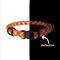 Show in main carousel: Frisco Rugged Reflective Rope Dog Collar, Red, 18 to 20-in neck, 3/4-in wide slide 5 of 12