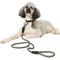 Show in main carousel: Frisco Rugged Reflective Rope Dog Leash, Black, Length: 6-ft, Width: 5/8-in slide 3 of 10
