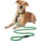 Show in main carousel: Frisco Rugged Reflective Rope Dog Leash, Green, Length: 6-ft, Width: 5/8-in slide 3 of 10