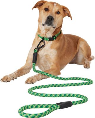 Show full view: Frisco Rugged Reflective Rope Dog Leash, Green, Length: 6-ft, Width: 5/8-in slide 3 of 10