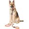 Show in main carousel: Frisco Rugged Reflective Rope Dog Leash, Red, Length: 6-ft, Width: 5/8-in slide 4 of 11