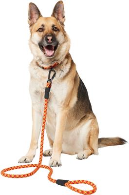 Show full view: Frisco Rugged Reflective Rope Dog Leash, Red, Length: 6-ft, Width: 5/8-in slide 4 of 11