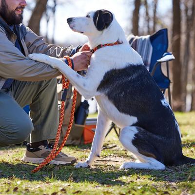 Show full view: Frisco Rugged Reflective Rope Dog Leash, Red, Length: 6-ft, Width: 5/8-in slide 7 of 11