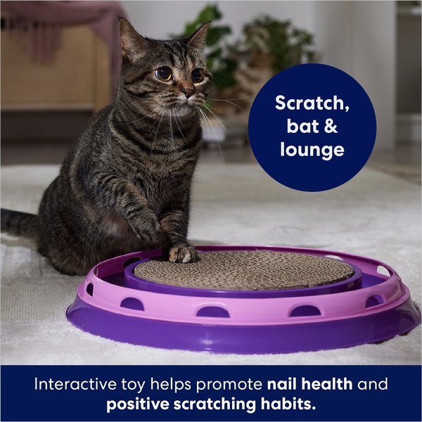 Show full view: Frisco Scratch & Roll Scratcher Cat Toy with Catnip, Purple slide 3 of 5