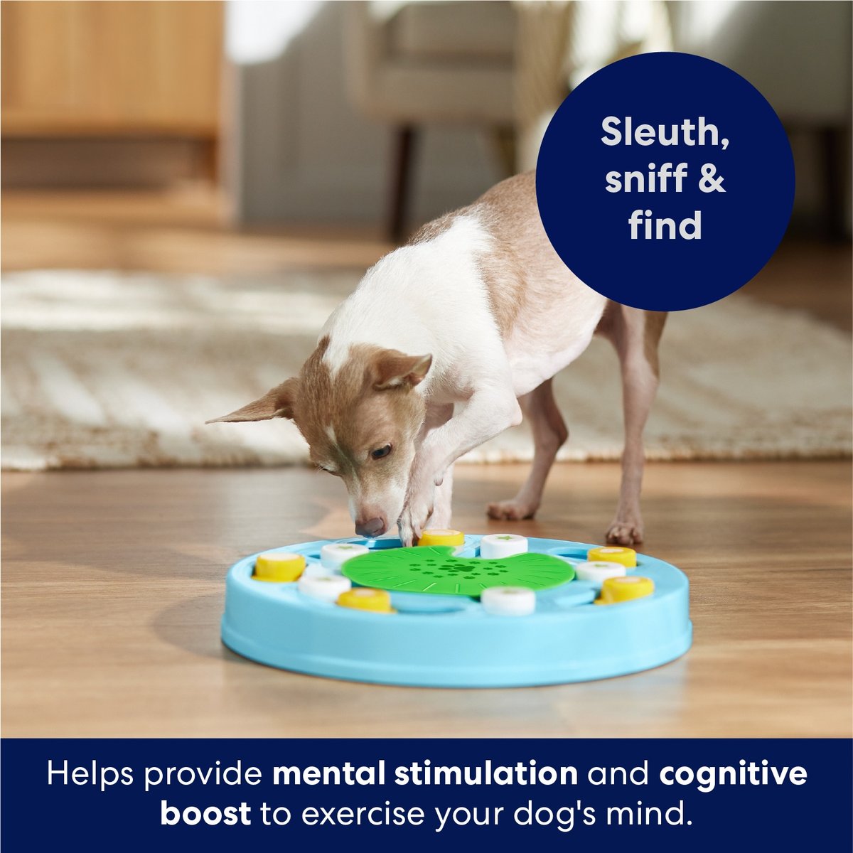 Frisco Seek & Discover Interactive Puzzle Dog Toy, Level 3