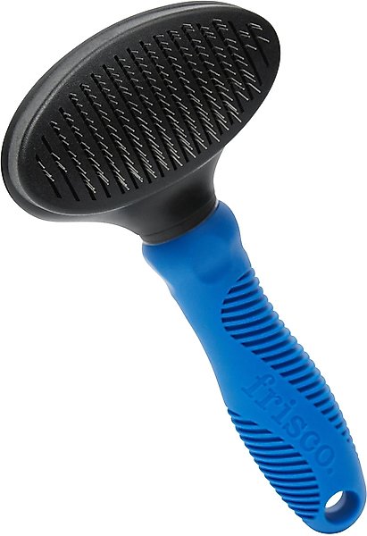 personal rain umbrella