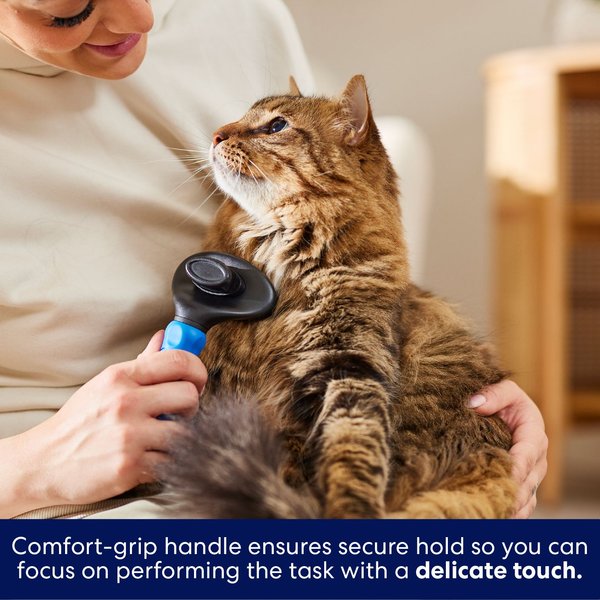 Frisco Self-Cleaning Slicker Cat Brush