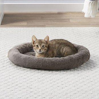 modern heated cat blanket