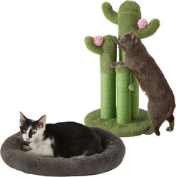 Frisco Self Warming Bolster Round Bed, Gray + Cactus Cat Scratching Post, 33-in, Tri-post