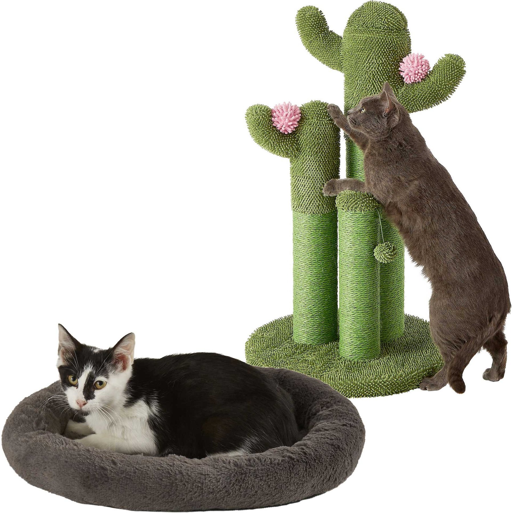 Frisco Self Warming Bolster Round Bed, Gray + Cactus Cat Scratching Post, 33-in, Tri-post