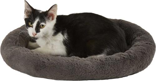 Show full view: Frisco Self Warming Bolster Round Bed, Gray + Cactus Cat Scratching Post, 33-in, Tri-post slide 2 of 9