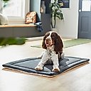 Frisco Self Warming Dog Crate Mat, 36-in