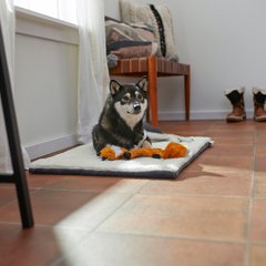 Frisco Self-Warming Reversible Cat & Dog Mat, Gray, 30"