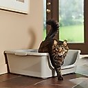 Frisco Senior Cat Litter Box, X-Large, 24-in