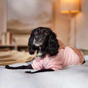 Frisco Sequin Dog & Cat Hoodie, Pink, Large