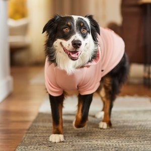 Frisco Sequin Dog & Cat Hoodie, Pink, XX-Large