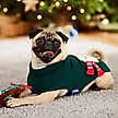 Show in main carousel: Frisco Sequin Polar Bear Dog & Cat Sweater, Small slide 8 of 12