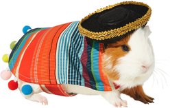 Frisco Serape Guinea Pig Costume, One Size, Multi Color