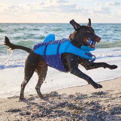 Show full view: Frisco Shark Dog Life Jacket, Blue, Medium slide 7 of 11