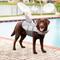 Show in main carousel: Frisco Shark Dog Life Jacket, Gray, Large slide 9 of 13