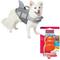 Show in main carousel: Frisco Shark Life Jacket, Small + KONG Aqua Dog Toy, Medium slide 1 of 10