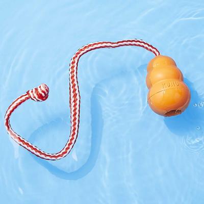 Show full view: Frisco Shark Life Jacket, Small + KONG Aqua Dog Toy, Medium slide 8 of 10