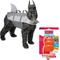 Show in main carousel: Frisco Shark Life Jacket, X-Large + KONG Aqua Dog Toy, Large slide 1 of 10