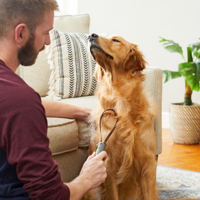 Show full view: Frisco Shedding Blade Dog Brush, One Size slide 5 of 7