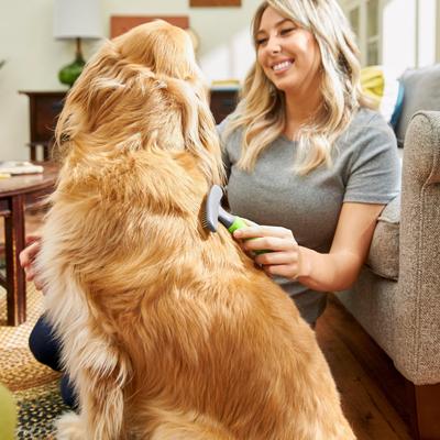 Show full view: Frisco Shedding Rake Dog Brush, One Size slide 4 of 6