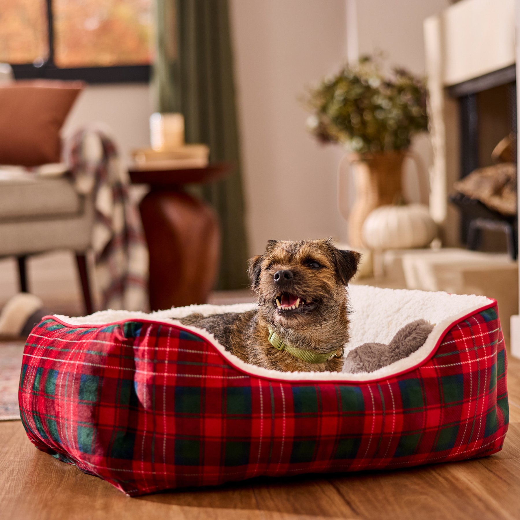 Frisco Sherpa Cat & Dog Bolster Bed, Plaid, Medium