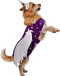 Frisco Shooting Stars Dog & Cat Costume, Large