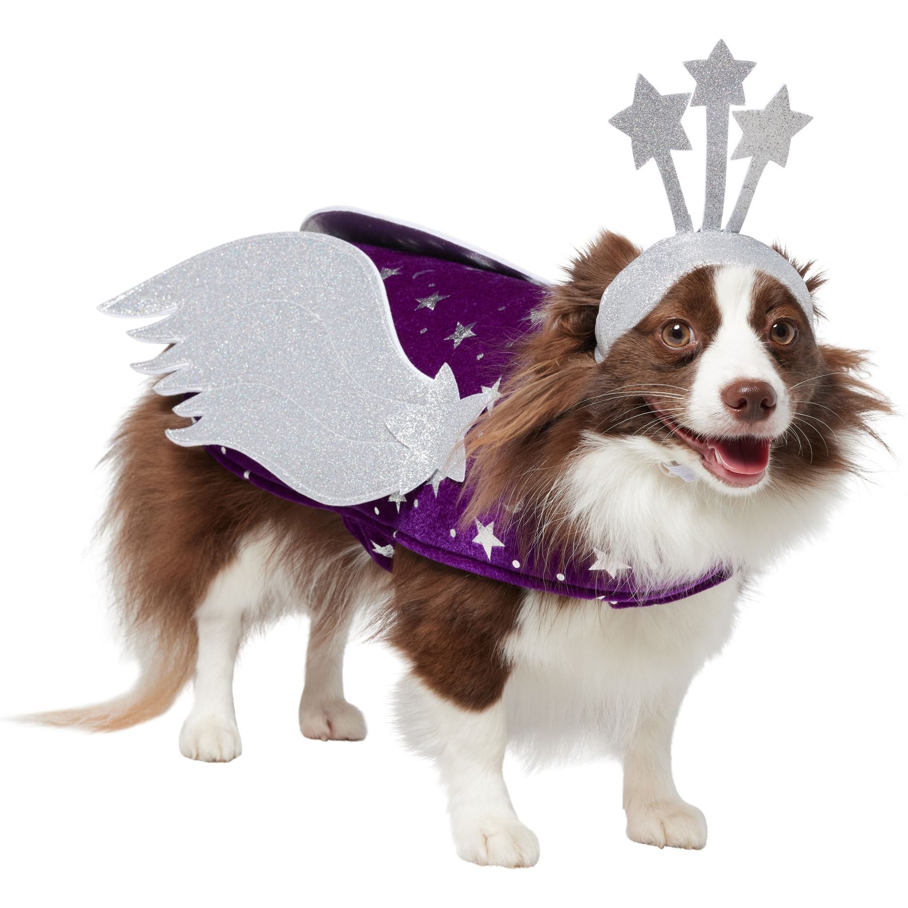 Frisco Shooting Stars Dog & Cat Costume, Medium
