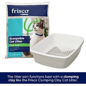 Frisco Sifting Cat Litter Box, Large, 22-in