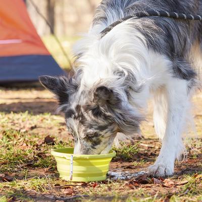 Show full view: Frisco Silicone Collapsible Travel Bowl with Carabiner, Chartreuse Green, Medium: 3 cup slide 5 of 8