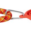 Show in main carousel: Frisco Silicone Collapsible Travel Bowl with Carabiner, Red, Medium: 3 cup slide 4 of 8