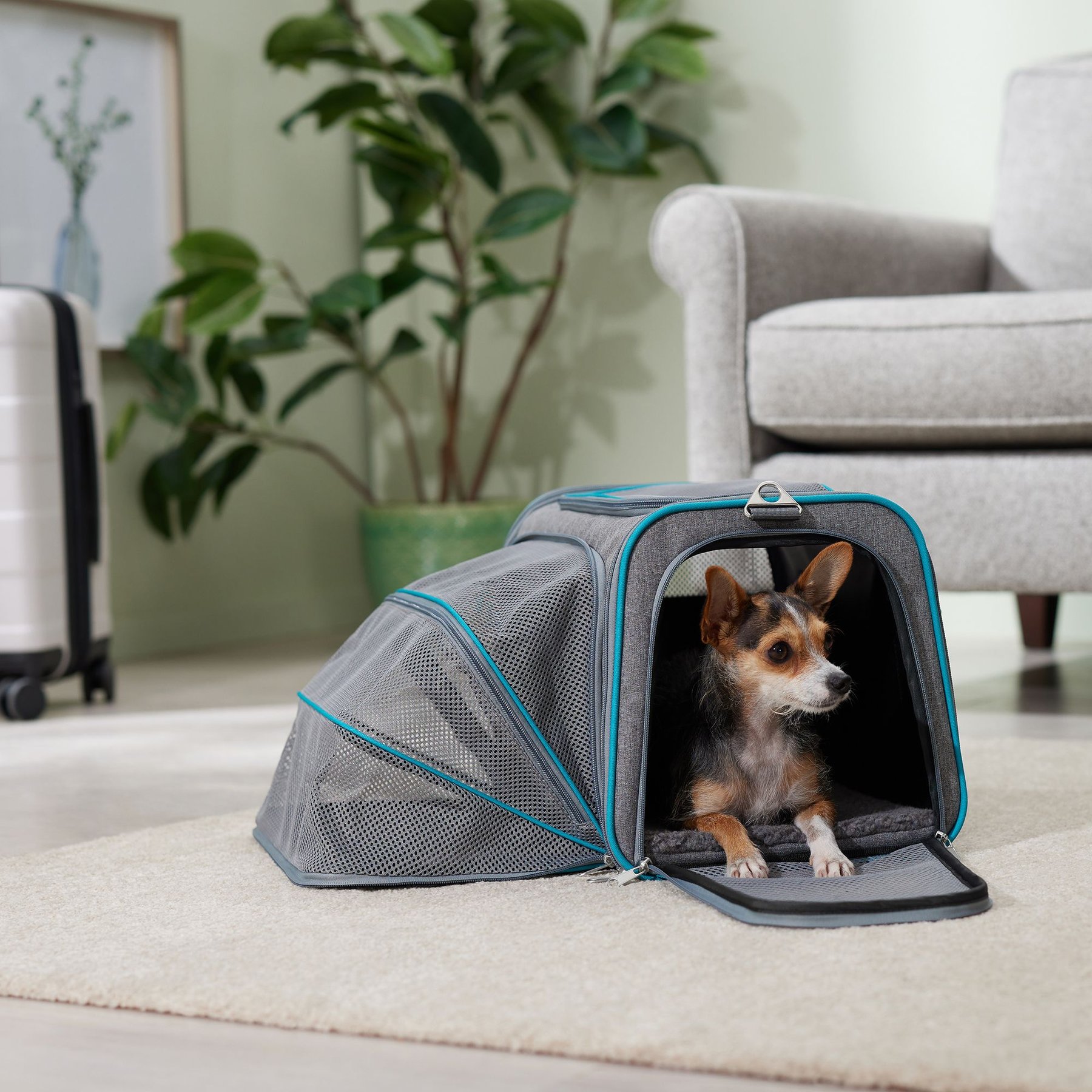 Frisco Frisco Single Soft Sided Expandable Airline Compliant Dog & Cat Carrier, Gray, Medium