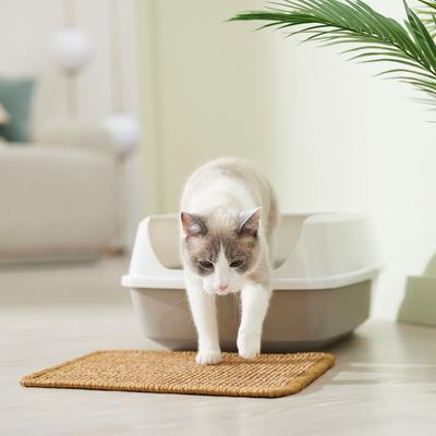 Show full view: Frisco Sisal Mat, Small slide 4 of 6