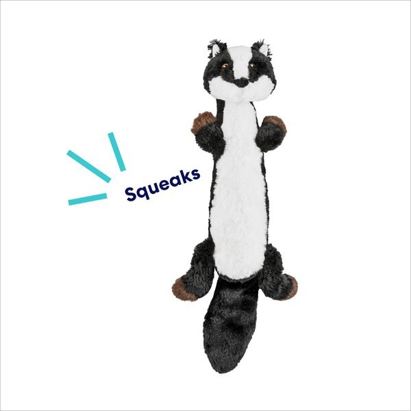 Frisco Skunk Disc Plush Squeaky Dog Toy