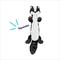 Show in main carousel: Frisco Skunk Skinny Plush Squeaky Dog Toy, Medium/Large slide 3 of 7
