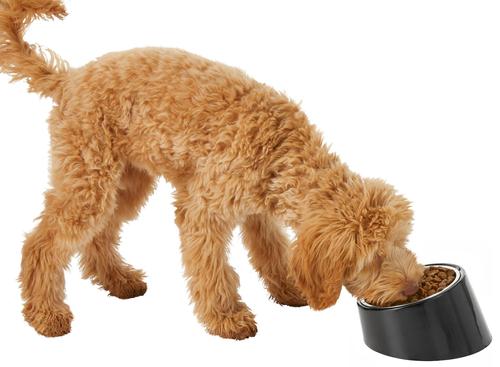 Show full view: Frisco Slanted Stainless Steel Bowl, Black, Small: 1 cup, 1 count slide 7 of 10