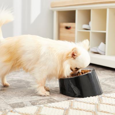 Show full view: Frisco Slanted Stainless Steel Bowl, Black, Small: 1 cup, 1 count slide 8 of 10