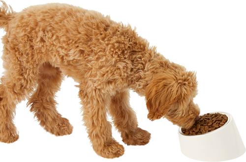 Show full view: Frisco Slanted Stainless Steel Bowl, Cream, Small: 1 cup, 1 count slide 6 of 9