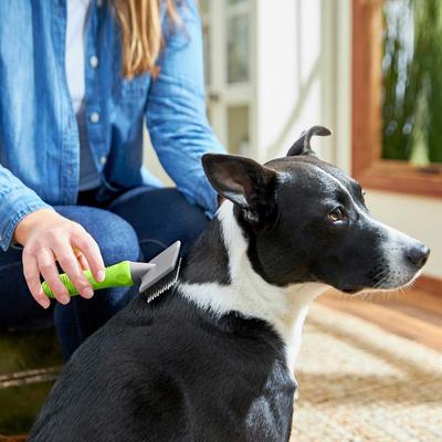 Show full view: Frisco Slicker Brush, Small Frisco Soft Slicker Dog & Frisco Deshedding Cat & Dog Brush, Medium, Medium to Long Hair slide 4 of 7
