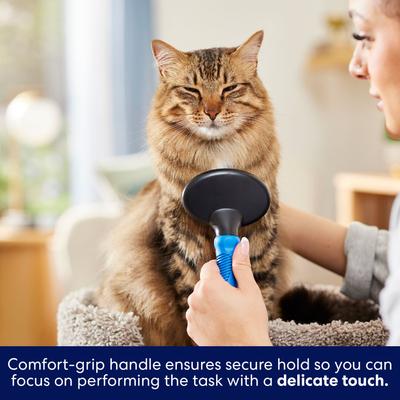 Show full view: Frisco Slicker Cat Brush slide 4 of 6