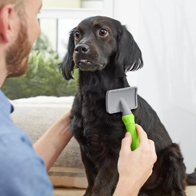 Show full view: Frisco Slicker Dog Brush, Small slide 4 of 6