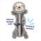 Show in main carousel: Frisco Sloth Bungee Plush Squeaky Dog Toy, Small/Medium slide 3 of 7