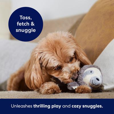 Frisco Sloth Plush Squeaky Dog Toy